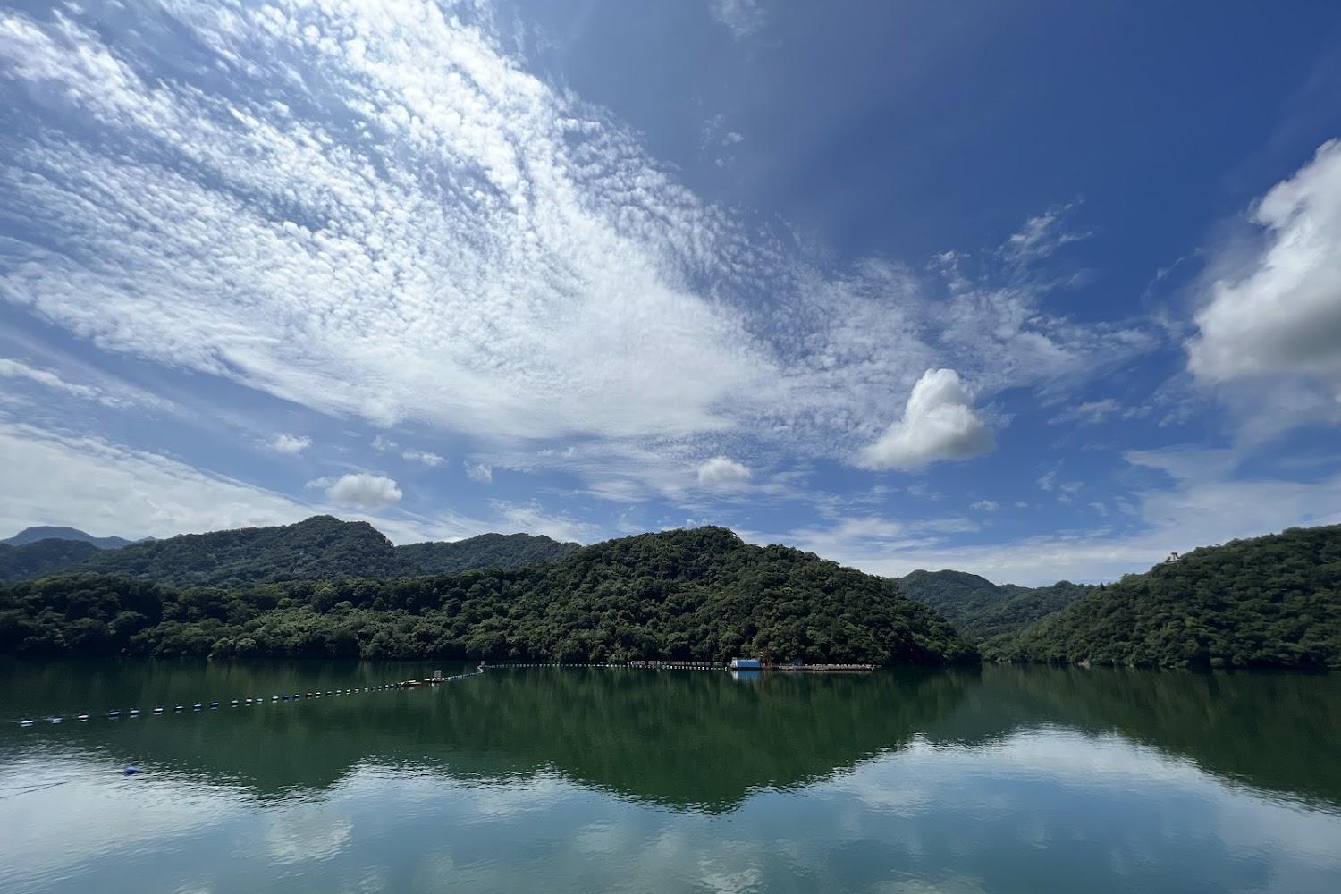 2026桃園賞楓首選！石門水庫「槭林步道」金紅交織，3000株楓香打造北台灣最美療癒紅葉大道