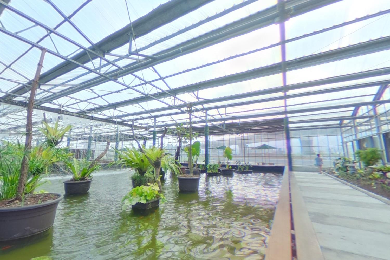 宜蘭礁溪雨天備案》漫步室內亞馬遜雨林！金車礁溪蘭花園2026最新攻略：賞千株蘭花、近距離餵食水豚君，親子同樂療癒首選