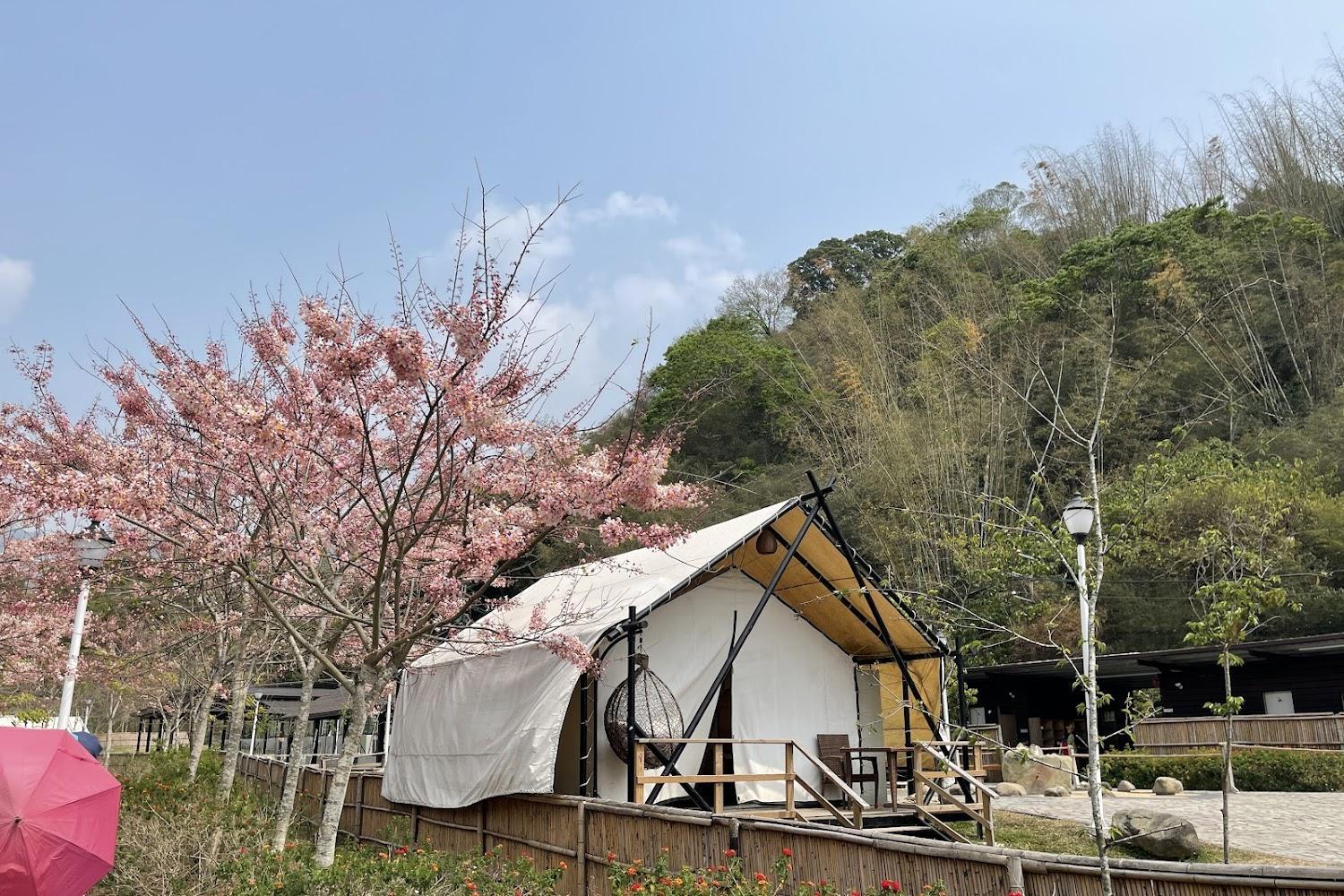 2026高雄旅遊｜遠山望月「溫泉豪華露營」秋冬賞花觀星秘境！限時預訂現折500元