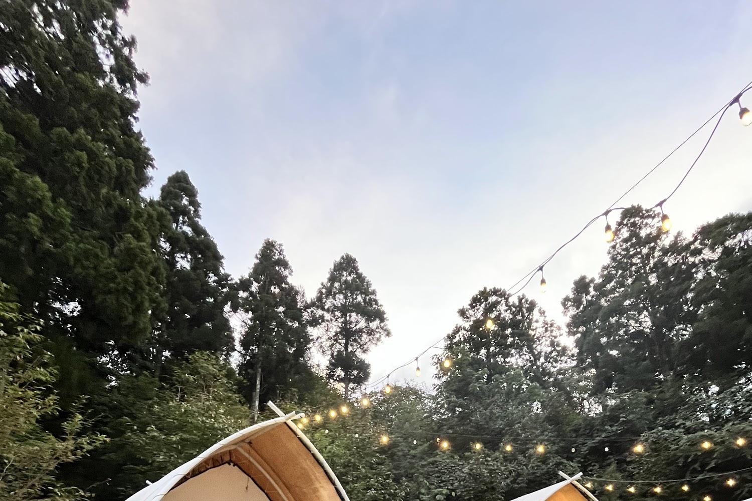 【2026新竹豪華露營】愛上喜翁「森林蔬果體驗」一泊二食每人$2000起！免搭帳擁抱雲海芬多精，12歲以下免費入住