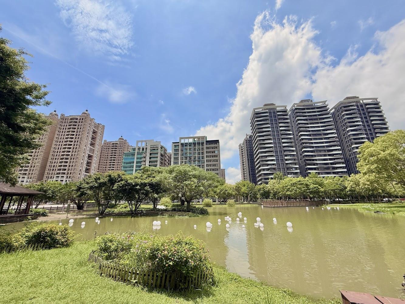 2026竹北最強免費景點！水圳森林公園絕美湖景+落羽松，高鐵旁科技新貴的紓壓綠洲