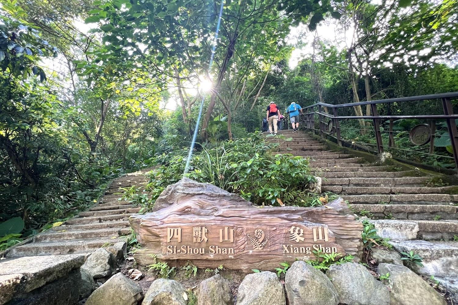 2026 遠離塵囂首選！全台 4 大經典「神級步道」推薦：絕美雲海、原始海岸一次收錄