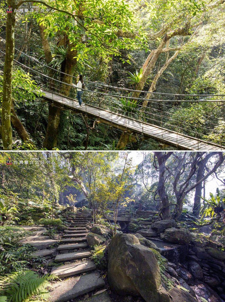 台北40分鐘直達「亞馬遜」！三峽大板根森林溫泉平日下殺$3999起，房內獨享私湯與芬多精