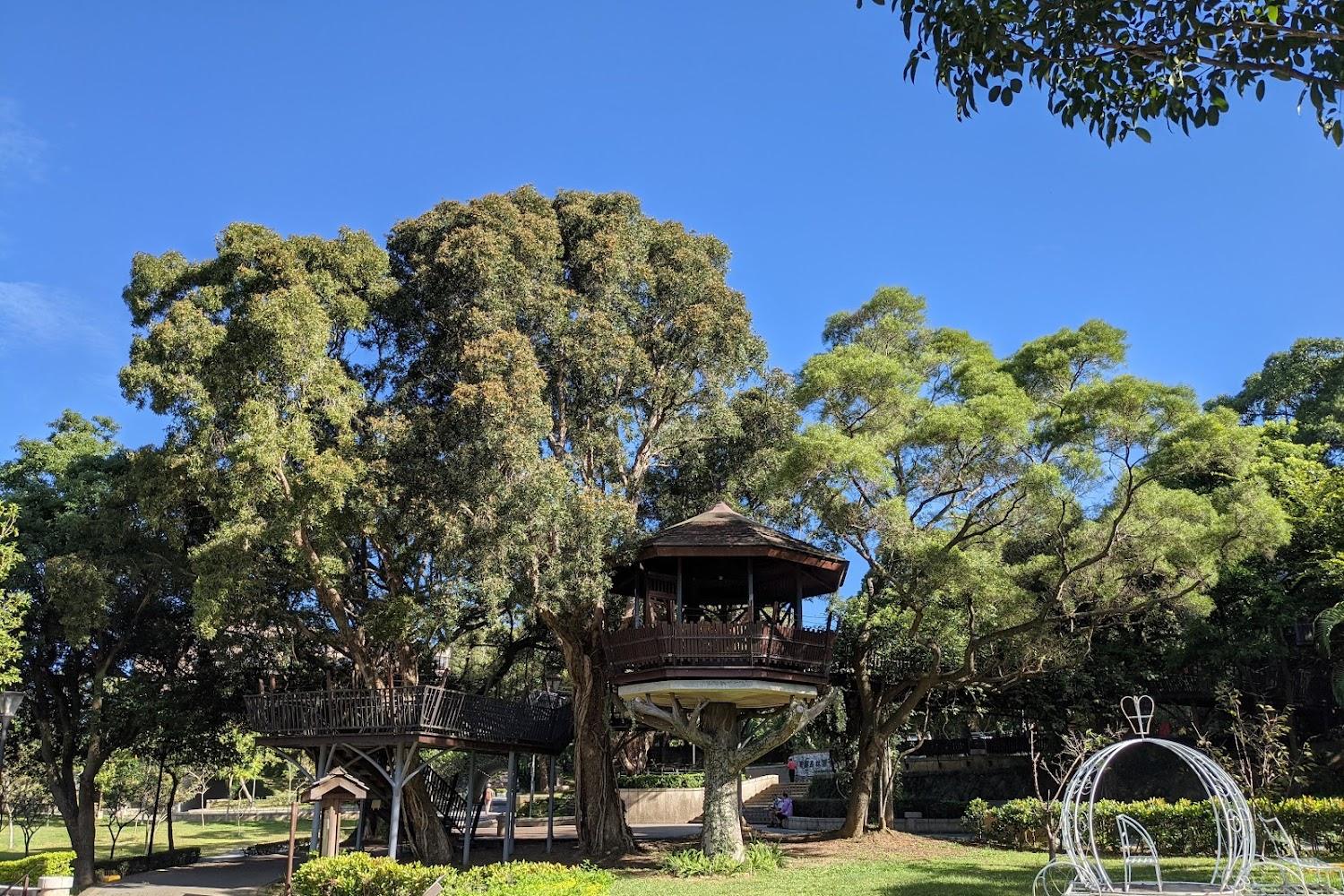 【2026桃園旅遊】擺脫工業城印象！從虎頭山到最美圖書館，揭秘城市美學蛻變與必訪景點