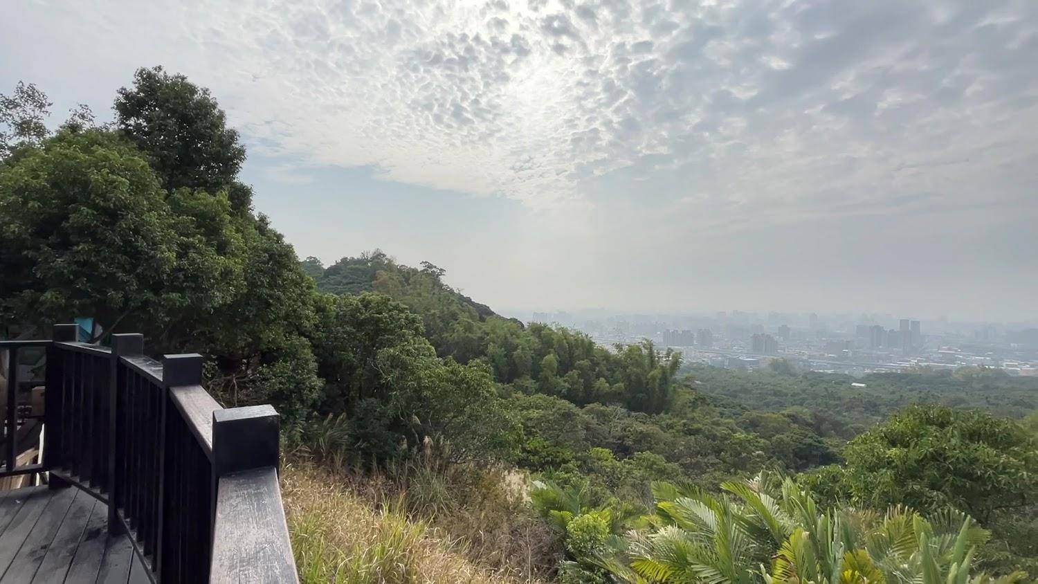 2026台中步道攻略｜新手必訪大坑九-1號步道：穿梭城市山林的五大絕美秘境與美食地圖