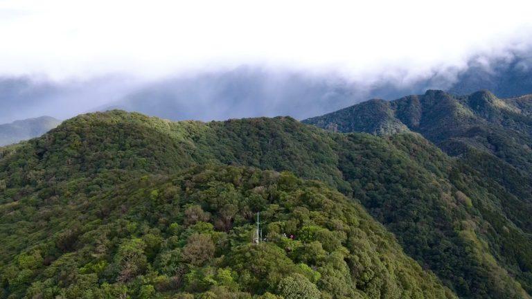 東眼山｜東眼山森林遊樂區攻略：挑戰小百岳與絕美柳杉林步道