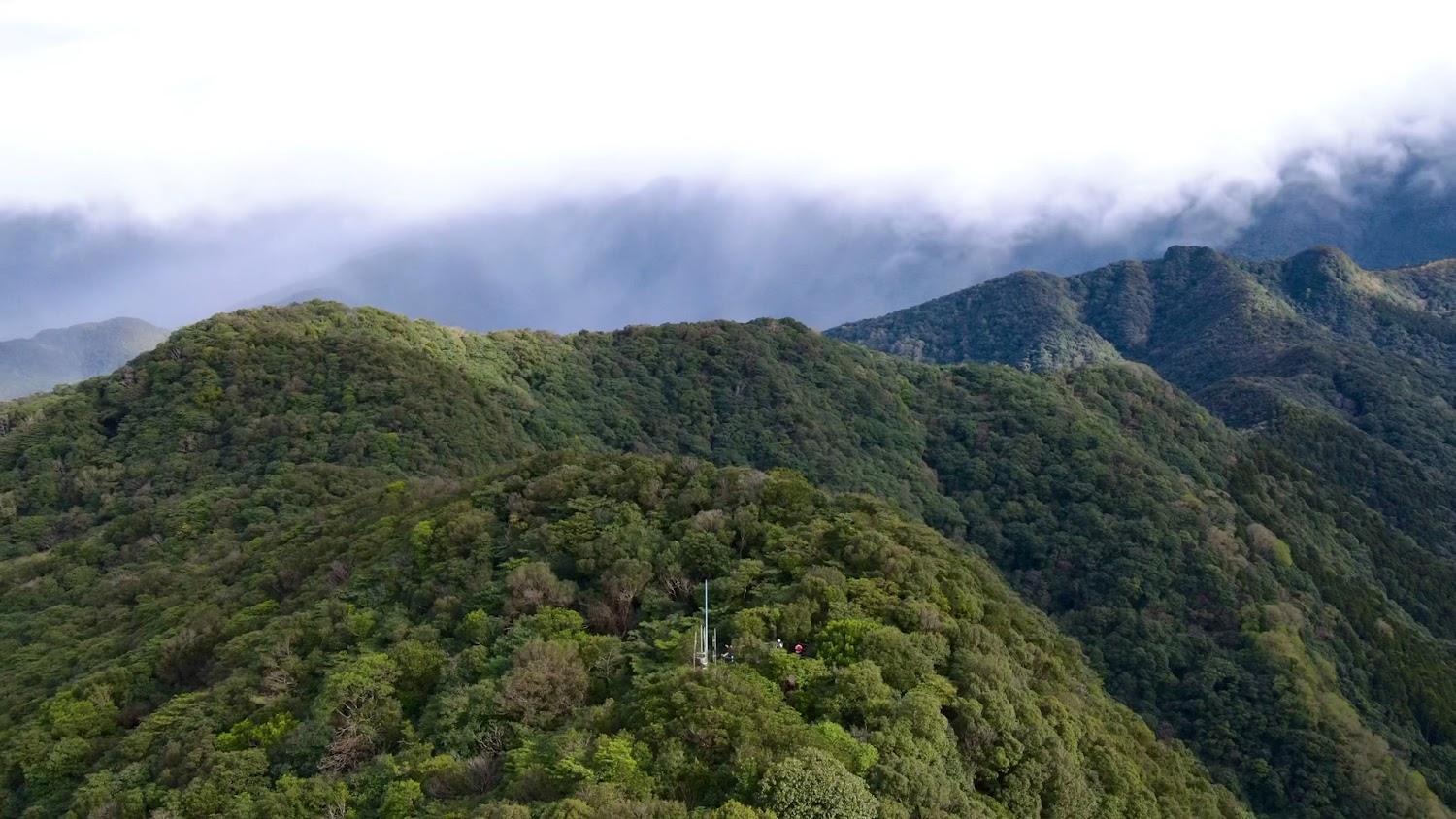 東眼山｜東眼山森林遊樂區攻略：挑戰小百岳與絕美柳杉林步道