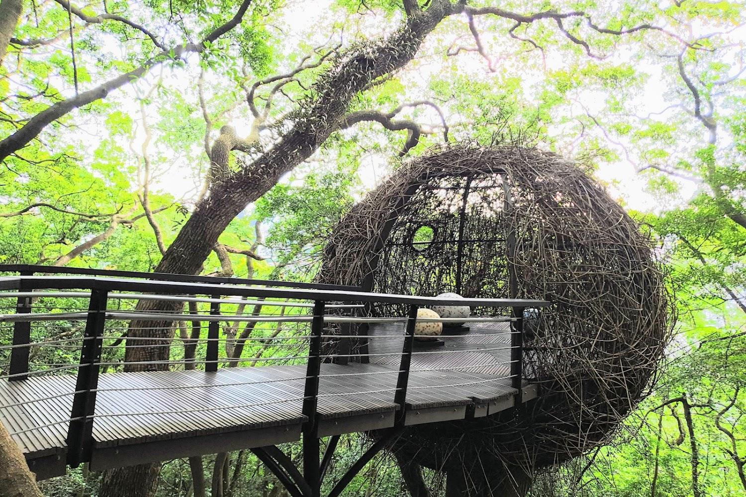 2026 桃園景點懶人包》從文化沙漠到美學綠洲！嚴選 7 大必去地標：虎頭山、最美圖書館與大溪老街深度遊