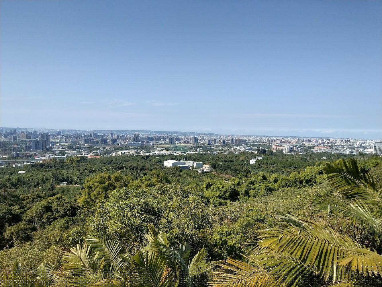 【2026台中登山指南】大坑九-1號步道領銜！精選5條必訪療癒與挑戰級健行路線全攻略