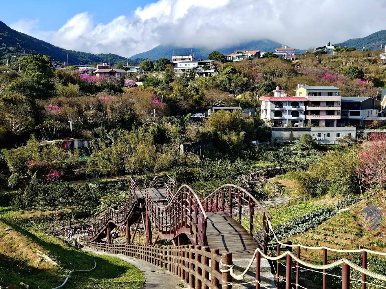 2026台北秘境深度遊｜鵝尾山百年梯田、平菁街櫻花巷與絕美夜景地圖