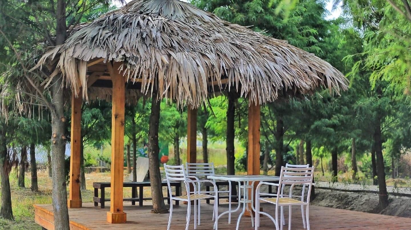 2026雲林虎尾秘境｜富士春落羽松休閒景莊：堀頭28號絕美森林與水上木棧道