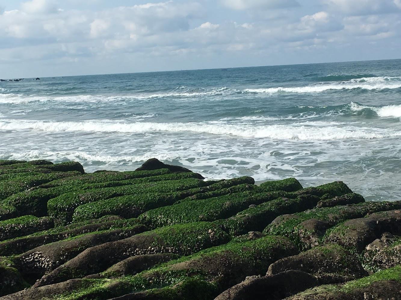 2026老梅綠石槽綠色地毯絕美回歸！碧潭、十分瀑布必訪 新北6大熱門景點懶人包