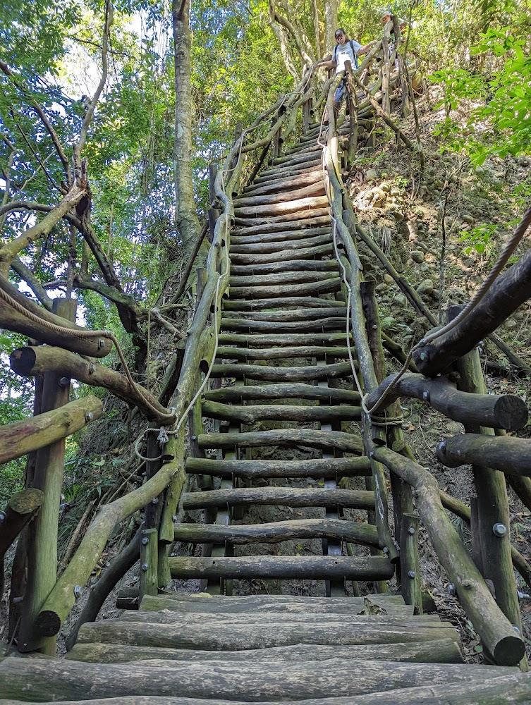 【2026台中登山攻略】大坑九-1號爆紅！盤點5條絕美步道：挑戰小百岳、親子水岸與海線秘境