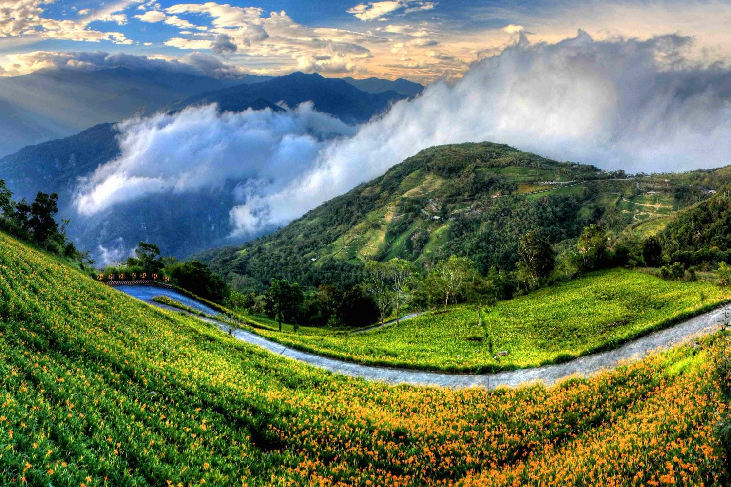 2026 台東太麻里金針花季登場！漫遊金色山城與蔚藍海景，3大絕美必拍景點攻略