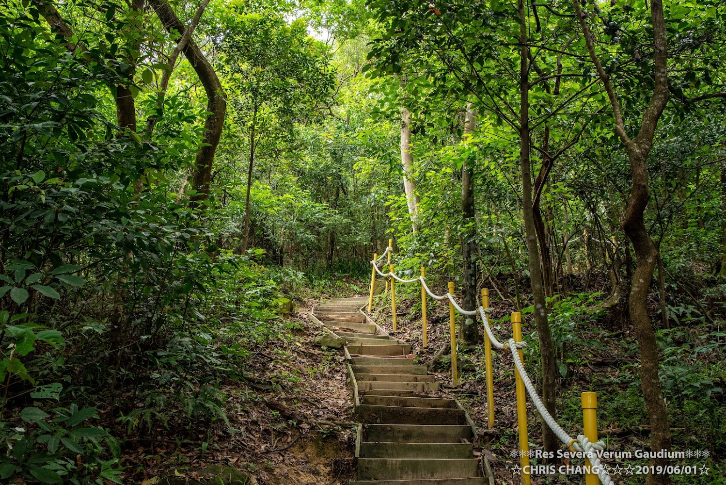 2026北部步道推薦》盤點6條絕美療癒秘境！逃離都市叢林，最新主推路線近在咫尺