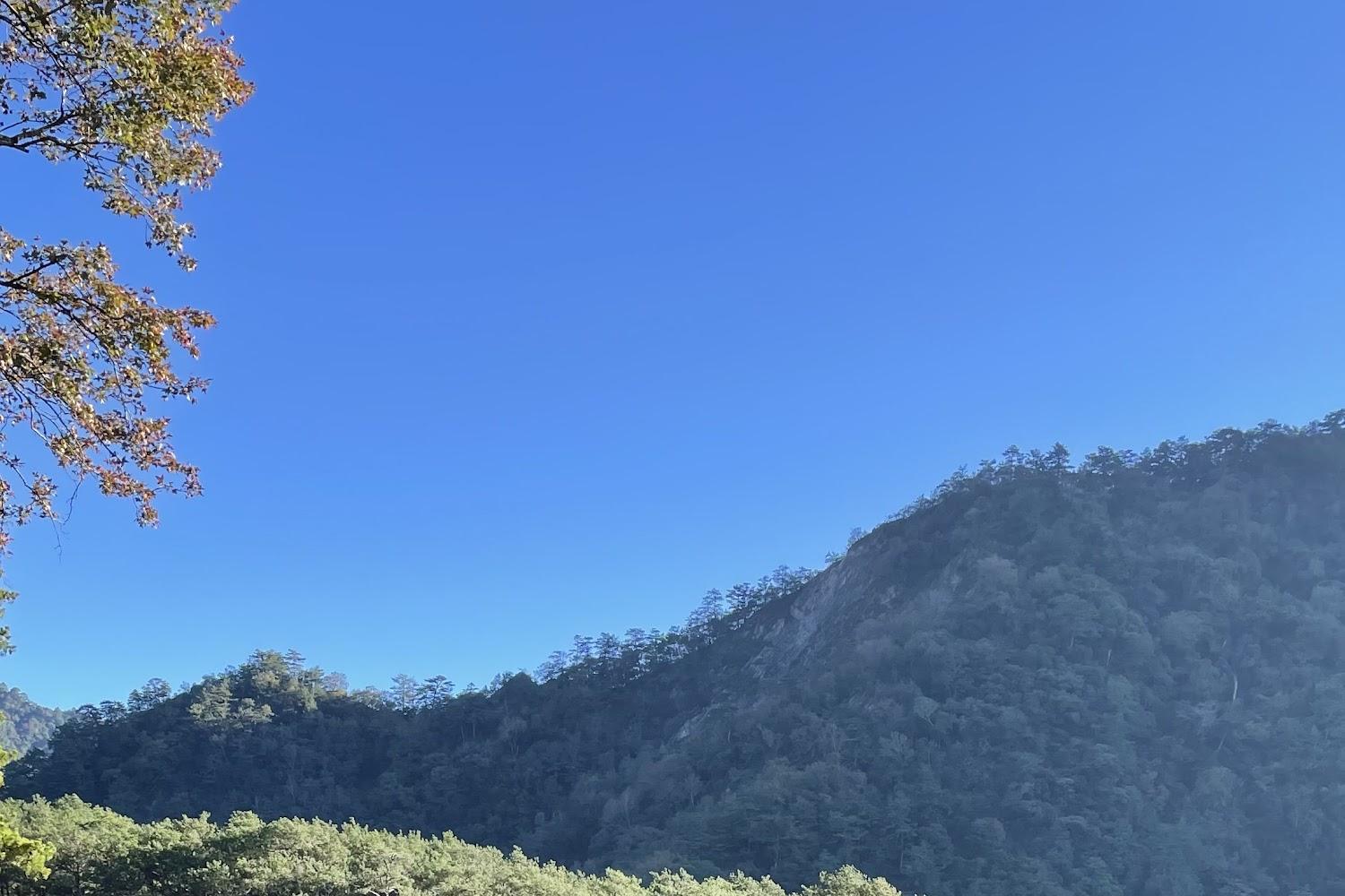 【2026奧萬大旅遊攻略】賞楓紅絕美秘境！門票交通、景點步道與住宿預約懶人包