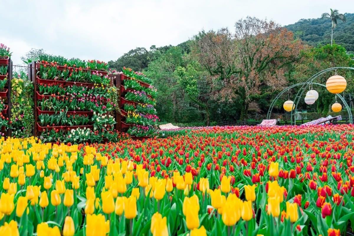 2026士林官邸正館旅遊指南：探訪臺北最美市區花園，揭開蔣家歷史神秘面紗