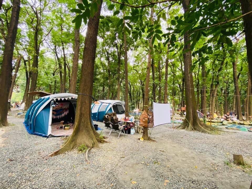 2026屏東露營推薦｜新八大森林百年桃花心木下森呼吸，5大絕美營地總整理