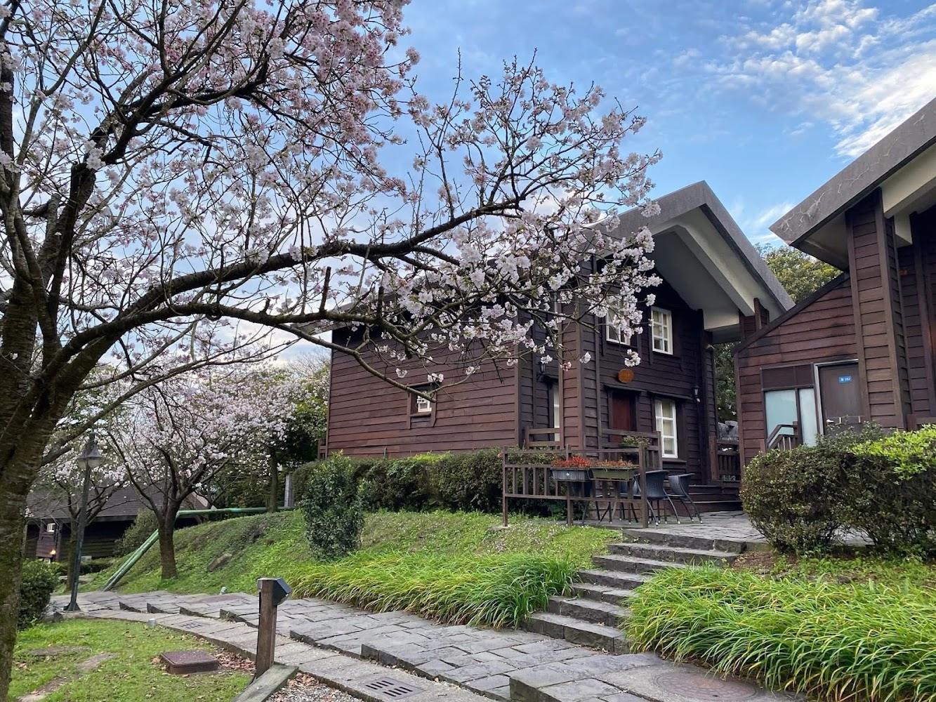 【2026台北住宿】陽明溫泉渡假村一泊一食3999元起！獨享冷水坑牛奶湯與百萬夜景，離市區僅30分鐘的世外桃源