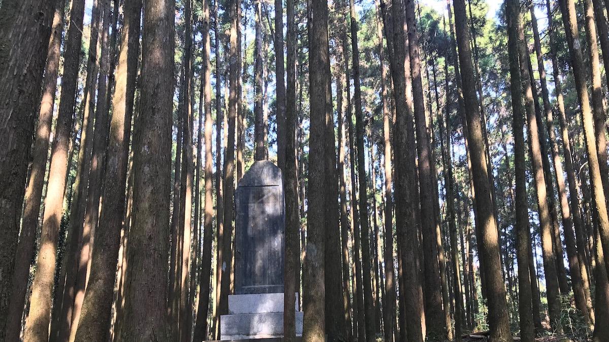 在阿里山二萬平的月台邊等夕陽，雲海與黑森林悄悄展開