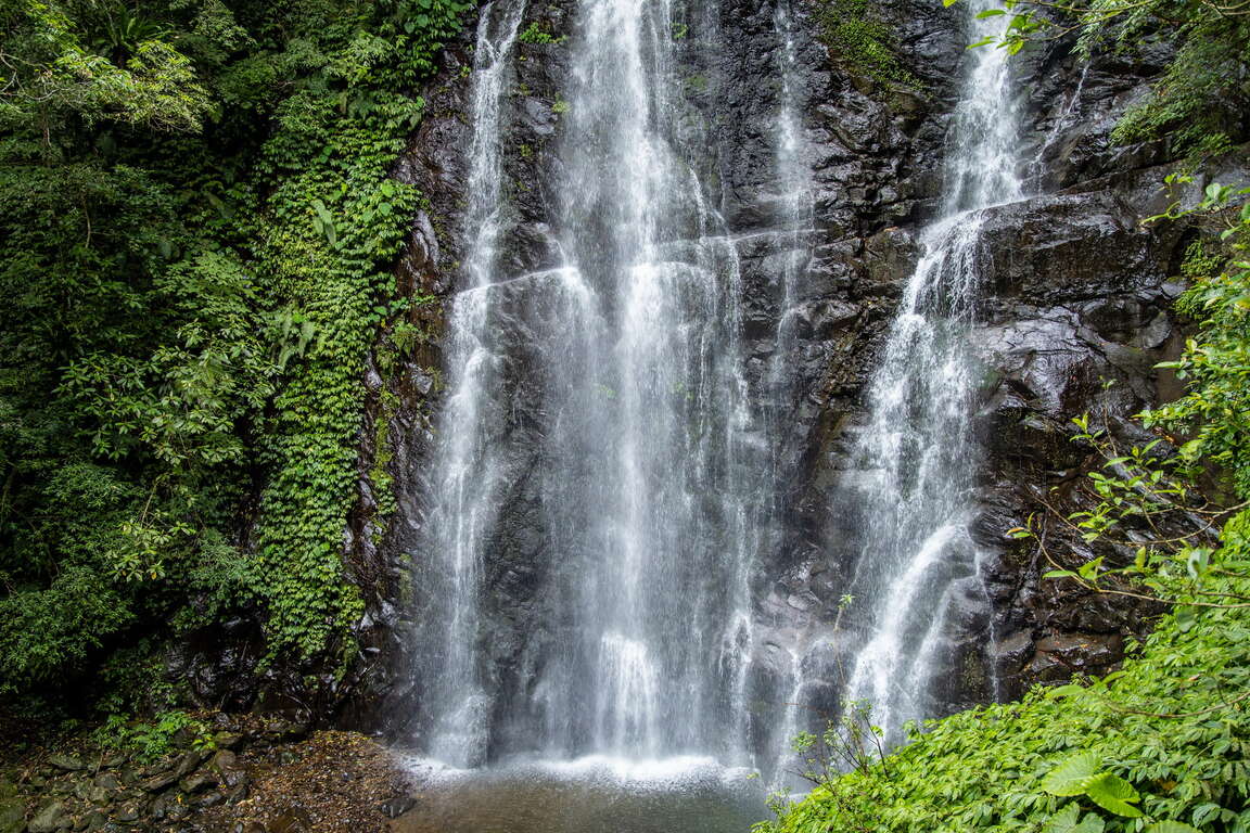 走進新北三峽滿月圓步道，清晨聽著瀑布聲在森林裡醒來
