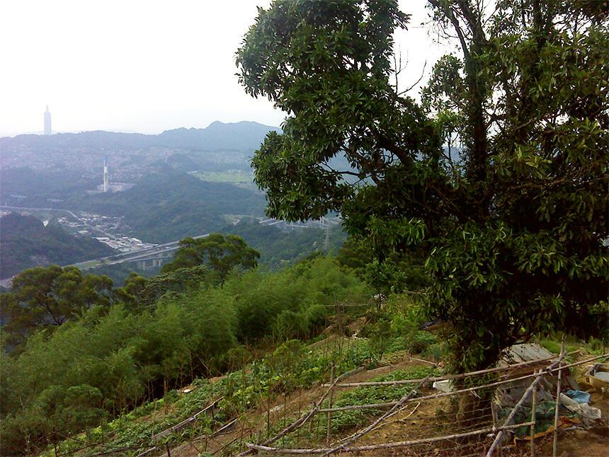 在深坑老街吃飽喝足後出發，沿炮子崙瀑布步道走向午後的清爽山色