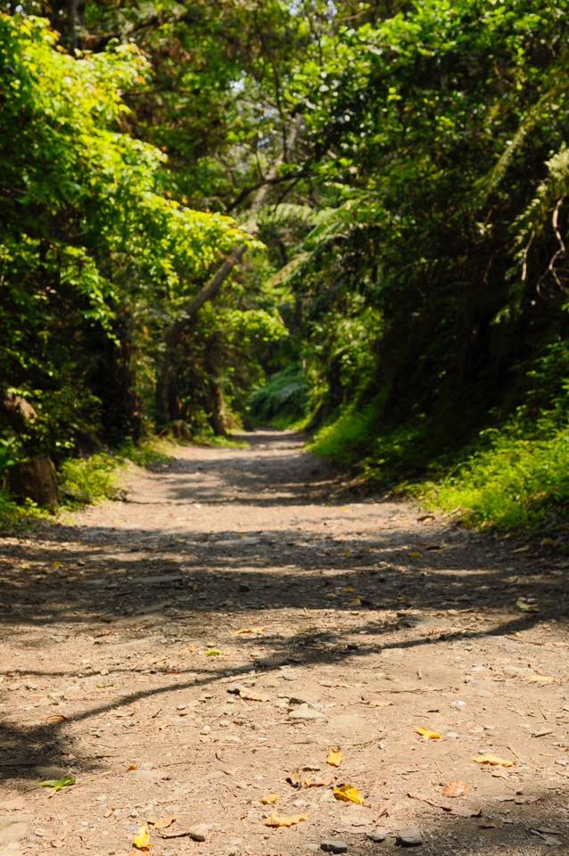 花蓮，秘境。卓溪。玉里。瓦拉米步道。瓦拉米。