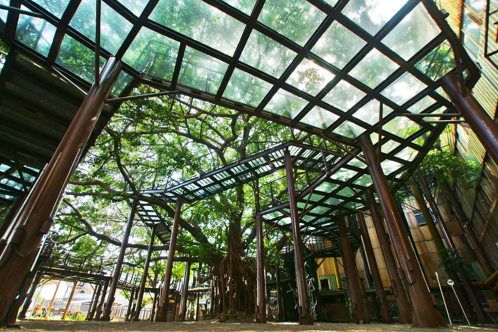 走進台南景點的午後光影，在古蹟與海風之間慢慢旅行