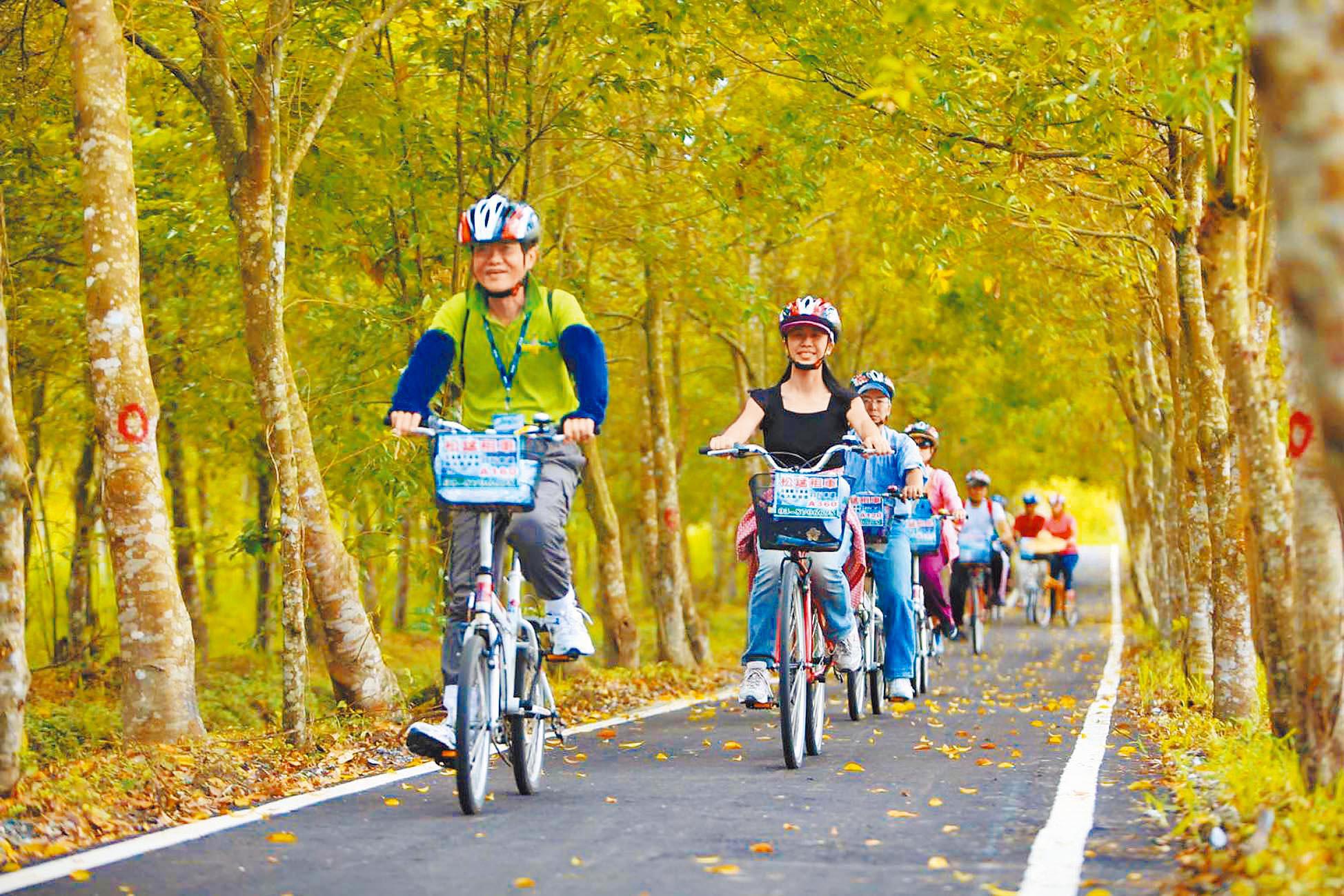 選一個晴朗早晨走進花蓮大農大富平地森林園區，讓風聲陪你穿越整片綠意