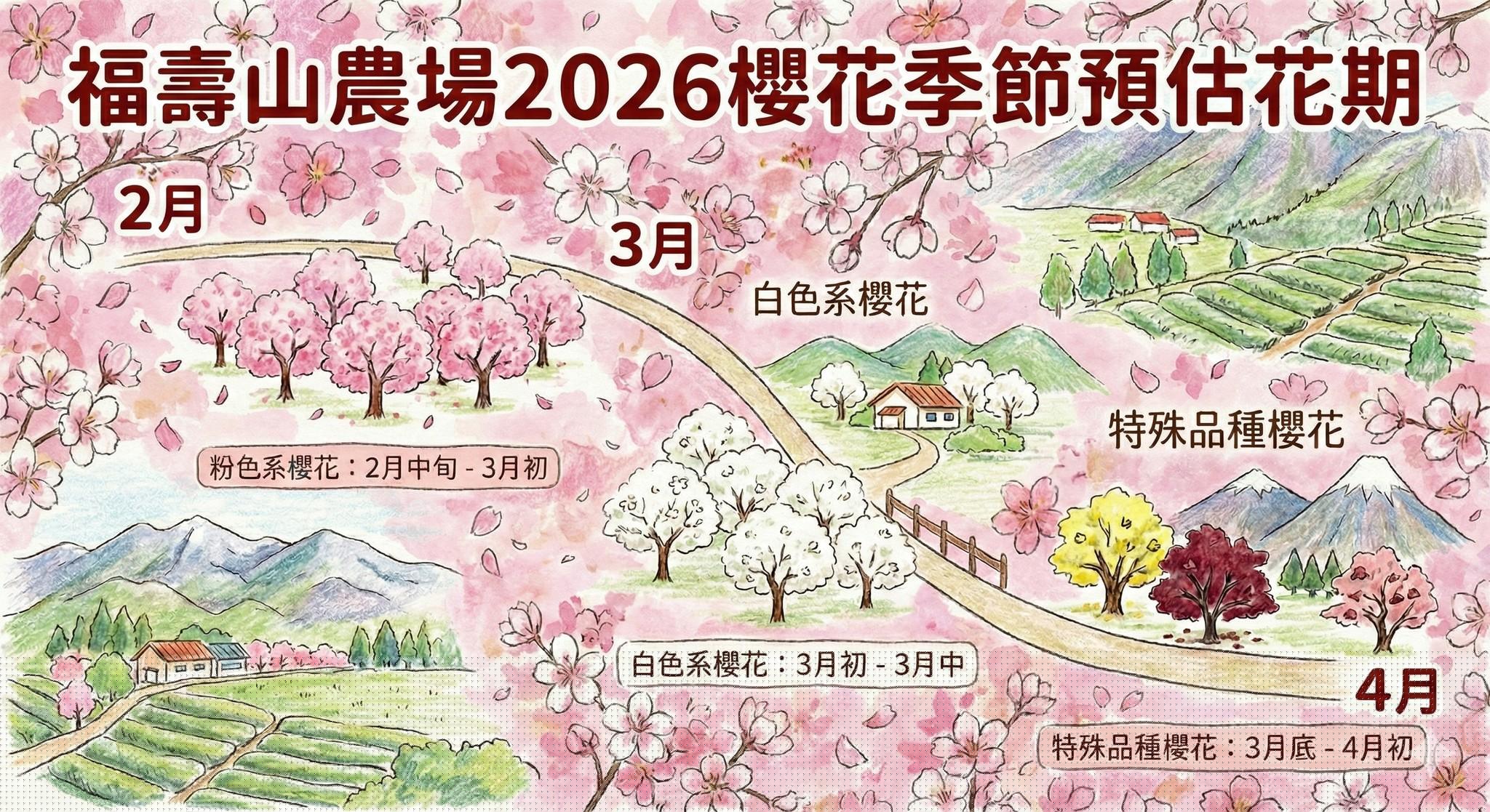 當春霧在福壽山農場千櫻園升起，我沿著高山花期慢慢走進滿山櫻色