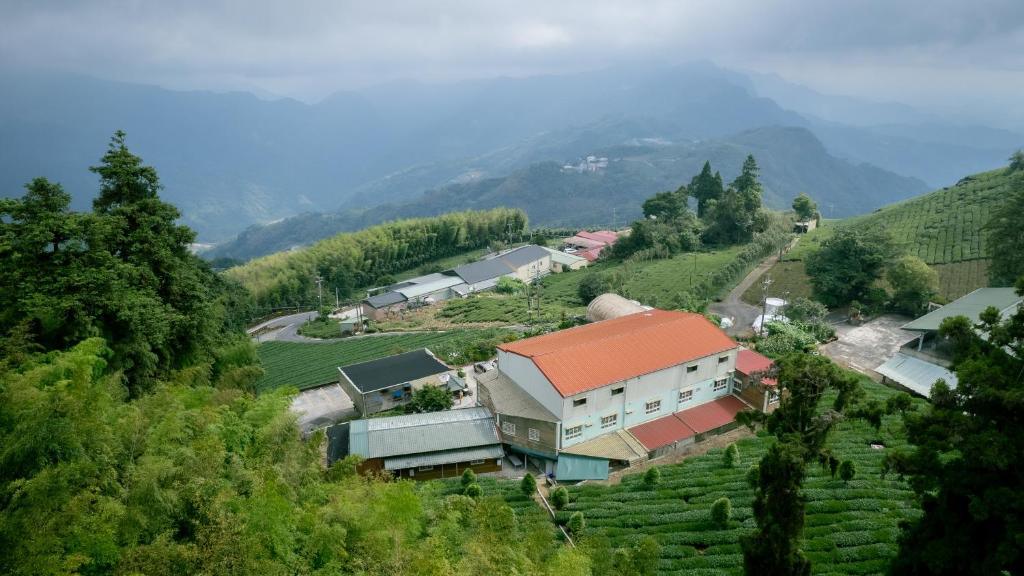 茂馨琉璃光民宿周圍的絕美茶園與山景視野
