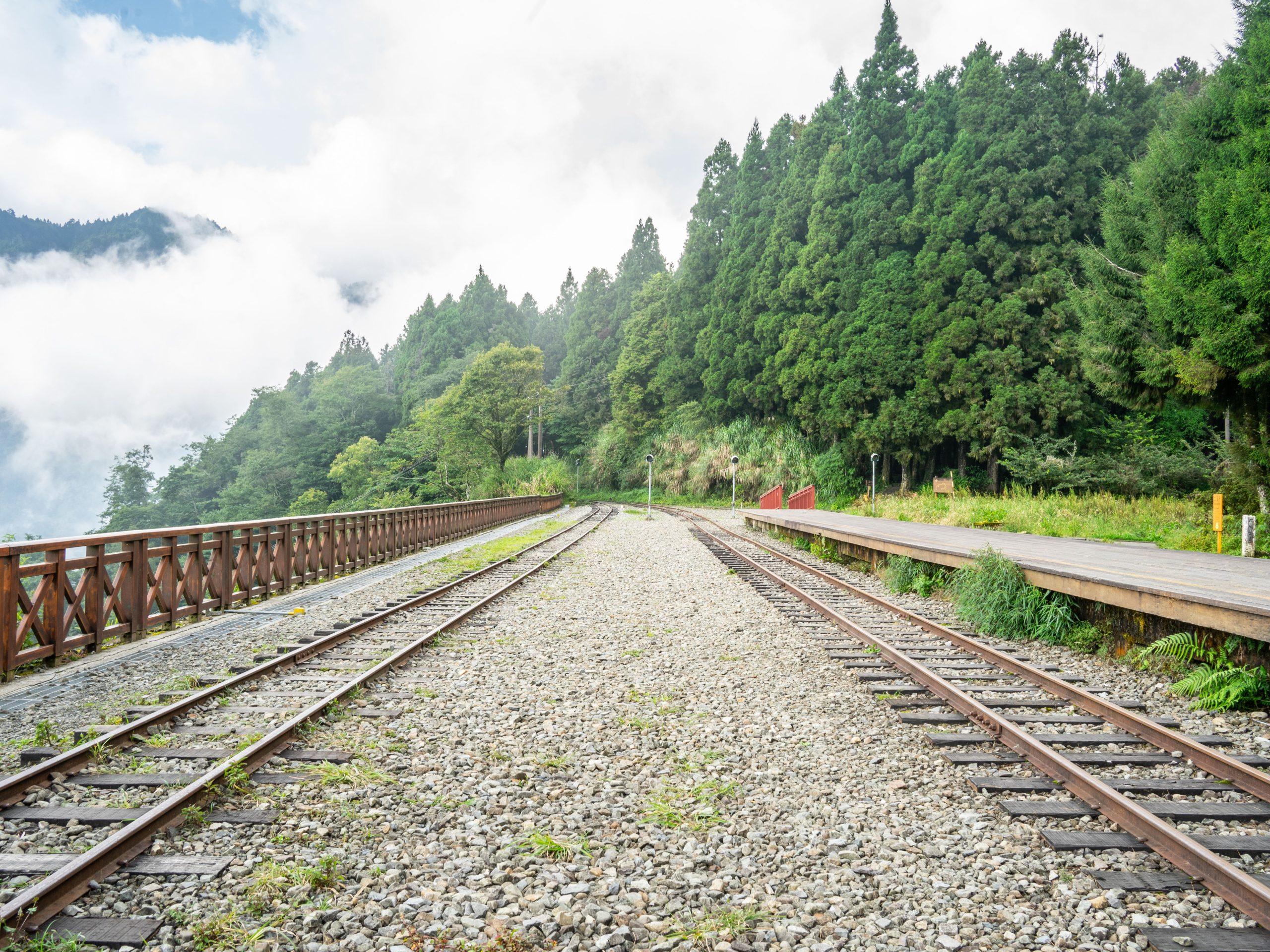 在阿里山二萬平的月台邊等夕陽，雲海與黑森林悄悄展開