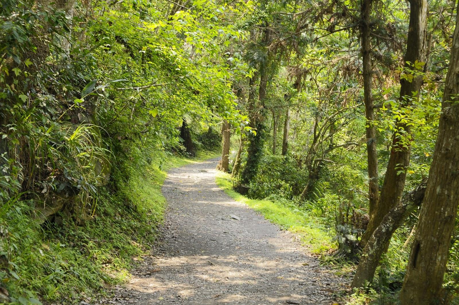 花蓮，秘境。卓溪。玉里。瓦拉米步道。瓦拉米。
