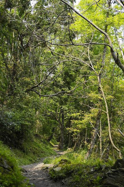花蓮，秘境。卓溪。玉里。瓦拉米步道。瓦拉米。