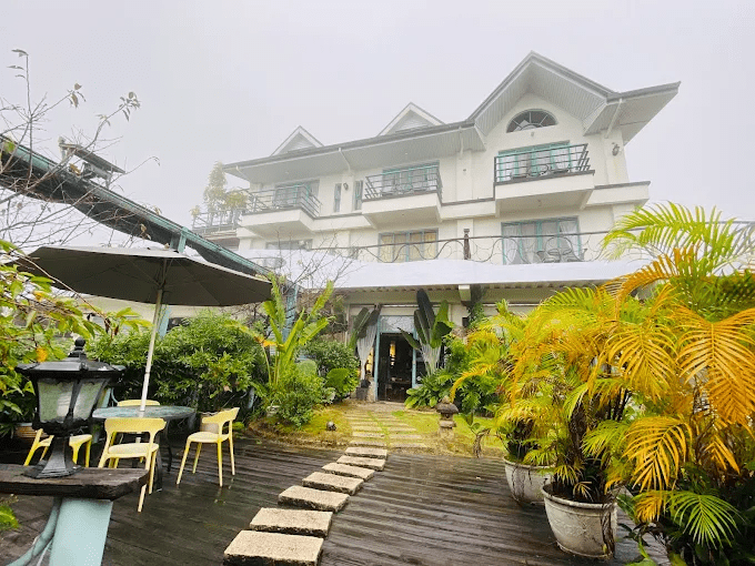 沿著山路走進雲霧深處，整理太平山住宿選擇，找一晚真正貼近森林的落腳點