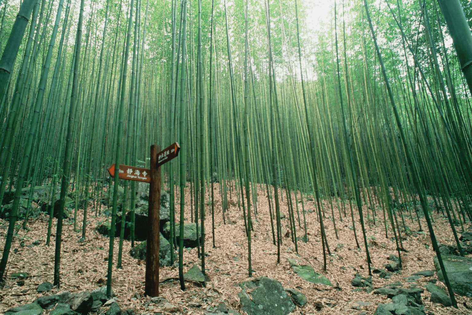 當霧氣升起走進谷關溫泉山谷，用一晚泡湯的時間把疲憊留在溪流旁