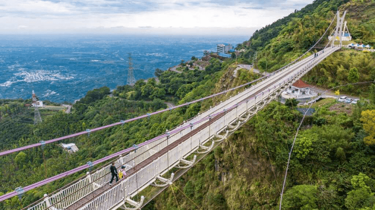 一路向山而行，在嘉義梅山鄉遇見雲霧茶園、山城風景與剛好的慢活距離
