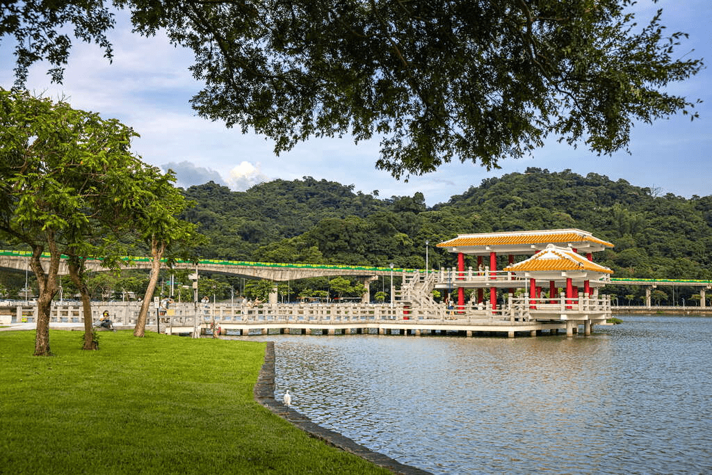 當湖水映出拱橋與樹影,走進內湖大湖公園,在落羽松轉紅的時節慢下來