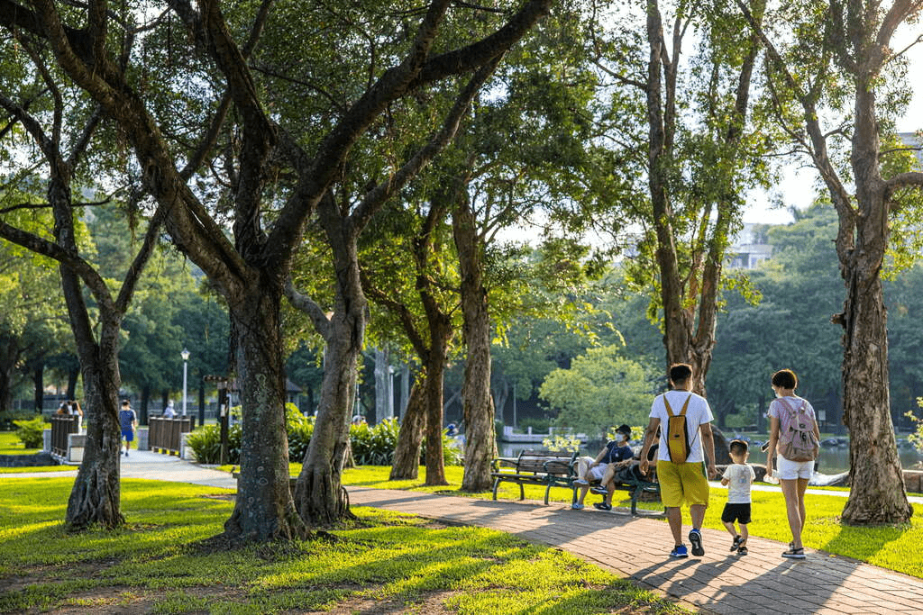 當湖水映出拱橋與樹影,走進內湖大湖公園,在落羽松轉紅的時節慢下來