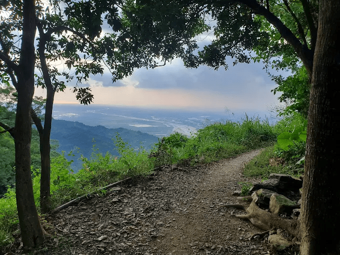 在屏東的登山步道慢慢往上走，從林蔭郊山到百岳雲海，把城市留在山下
