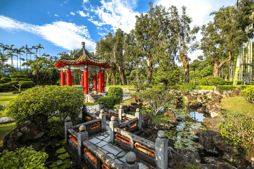 午後陽光落下，士林官邸公園的落羽松轉色，適合一場城市散步