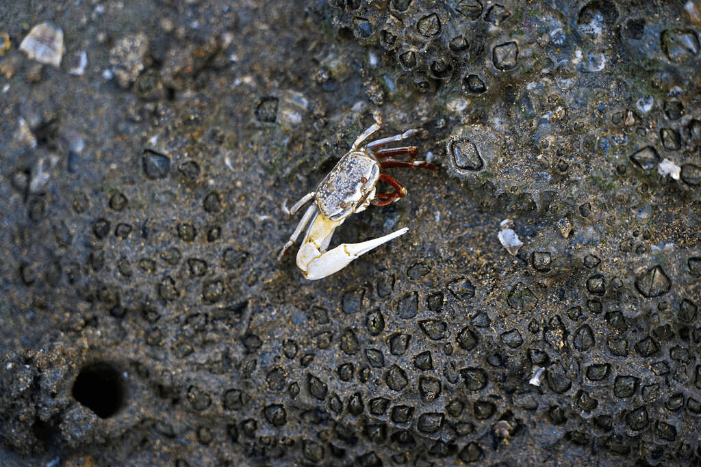 從城市邊緣出發，繞行社子島河岸，用單車迎著風等一場傍晚的光