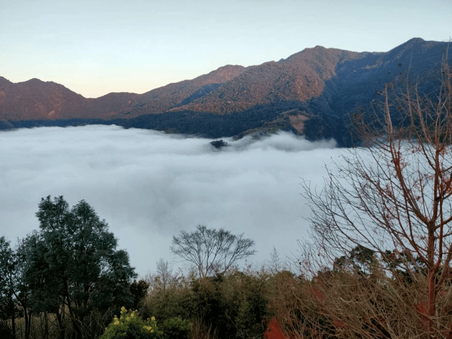 不急著下山的一晚,在新竹尖石數碼天空太空艙裡迎接夜色與雲海交替