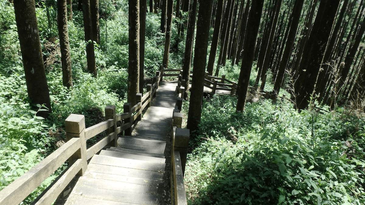 當城市退到身後，從合歡山到虎山，7 條登山步道讓台灣風景一層層展開