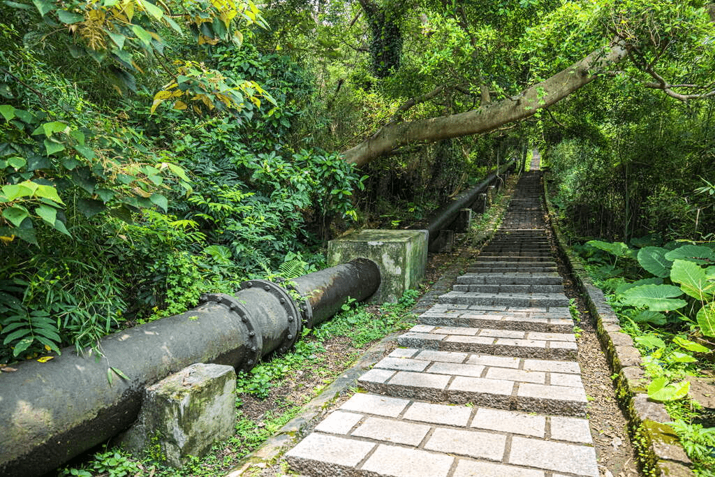 當城市退到身後，從合歡山到虎山，7 條登山步道讓台灣風景一層層展開