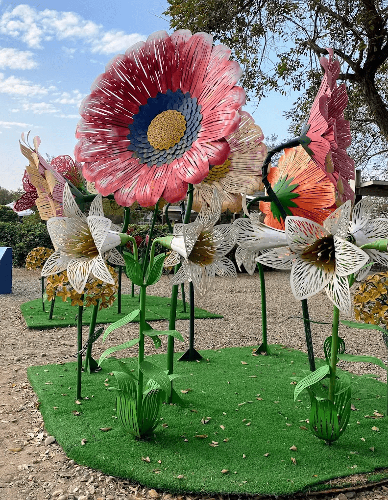 適合親子野餐的大草原