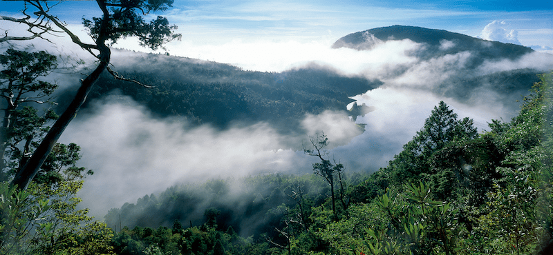 走進宜蘭太平山翠峰湖環山步道，在雲霧森林與湖面倒影之間慢慢感受高山湖泊