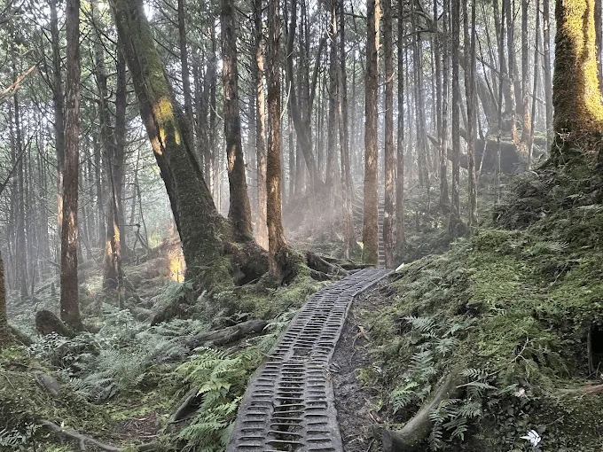 走進宜蘭太平山翠峰湖環山步道，在雲霧森林與湖面倒影之間慢慢感受高山湖泊