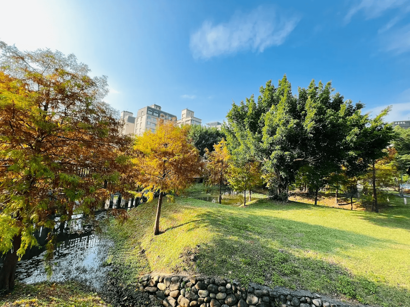 🌿 奇岩一號公園｜北投在地人私藏的療癒系散步公園