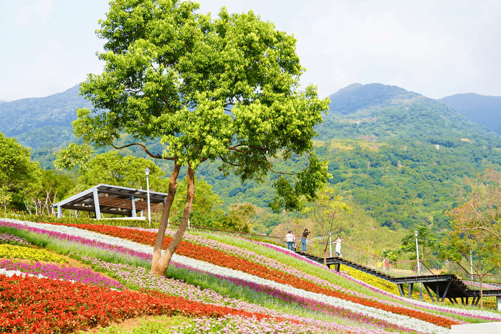 三層崎公園層次分明的花卉分佈設計，色彩奪目